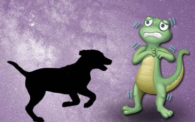 Wie entsteht Angst – Teil 1